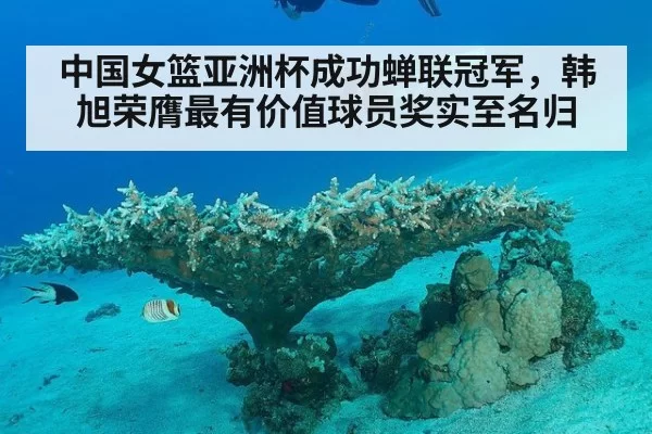 中国女篮亚洲杯成功蝉联冠军，韩旭荣膺最有价值球员奖实至名归