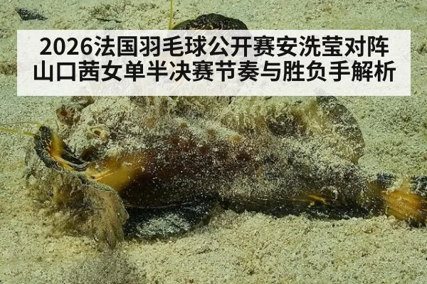 2026法国羽毛球公开赛安洗莹对阵山口茜女单半决赛节奏与胜负手解析